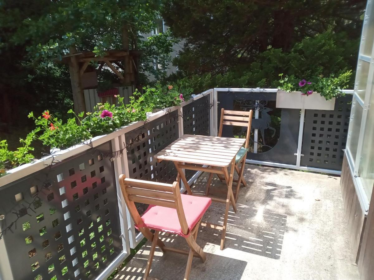 Ferienwohnung Zum Sebnitzer Hirsch Extérieur photo